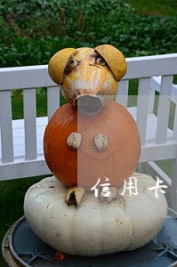 信用卡逾期一天扣300 信用卡逾期一天扣300