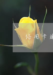 信用卡逾期一天扣500多 信用卡逾期一天扣500多