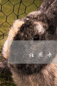 信用卡逾期一天扣了一百多块钱 信用卡逾期一天扣了一百多块钱