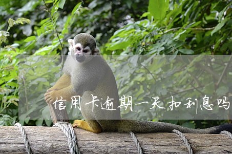 信用卡逾期一天扣利息吗 信用卡逾期一天扣利息吗