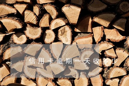 信用卡逾期一天收多少 信用卡逾期一天收多少