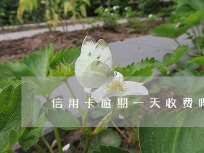 信用卡逾期一天收费吗 信用卡逾期一天收费吗