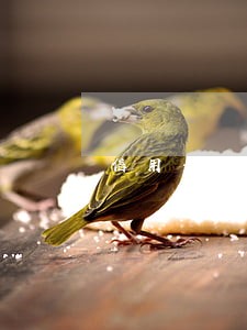 信用卡逾期一天有关系么 信用卡逾期一天有关系么