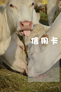 信用卡逾期一天有影响吗一个月