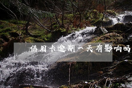 信用卡逾期一天有影响吗询 信用卡逾期一天有影响吗询