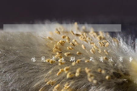 信用卡逾期一天有没有事啊 信用卡逾期一天有没有事啊