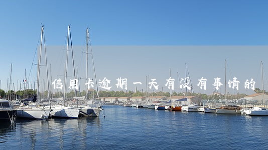 信用卡逾期一天有没有事情的