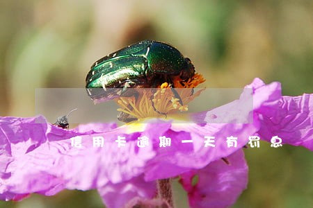 信用卡逾期一天有罚息