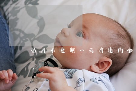 信用卡逾期一天有违约金 信用卡逾期一天有违约金