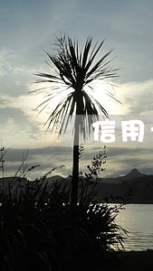 信用卡逾期一天未还会怎么样 信用卡逾期一天未还会怎么样