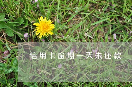 信用卡逾期一天未还款
