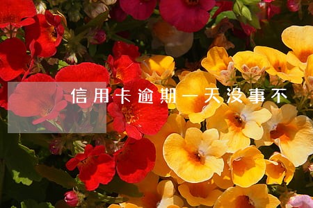 信用卡逾期一天没事不 信用卡逾期一天没事不