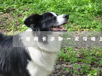信用卡逾期一天没接上电话 信用卡逾期一天没接上电话