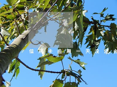 信用卡逾期一天没还会怎么样 信用卡逾期一天没还会怎么样