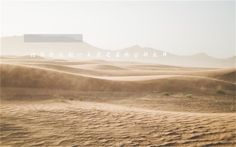 信用卡逾期一天没还最低会什么样 信用卡逾期一天没还最低会什么样
