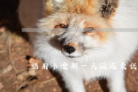 信用卡逾期一天没还最低还款呢 信用卡逾期一天没还最低还款呢