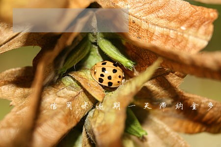信用卡逾期一天滞纳金多少钱 信用卡逾期一天滞纳金多少钱