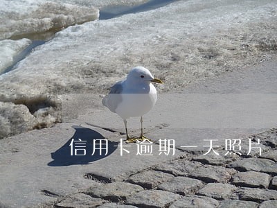 信用卡逾期一天照片 信用卡逾期一天照片