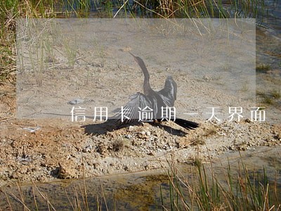 信用卡逾期一天界面 信用卡逾期一天界面