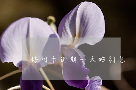 信用卡逾期一天的利息 信用卡逾期一天的利息