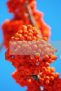 信用卡逾期一天的影响信用吗