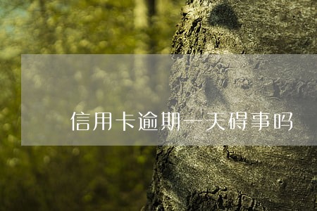 信用卡逾期一天碍事吗 信用卡逾期一天碍事吗