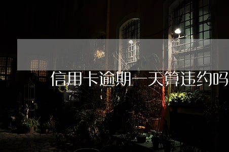 信用卡逾期一天算违约吗