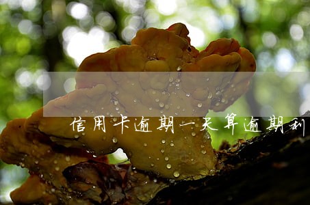 信用卡逾期一天算逾期利息吗 信用卡逾期一天算逾期利息吗
