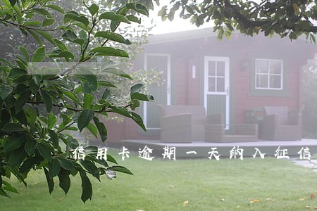 信用卡逾期一天纳入征信新闻 信用卡逾期一天纳入征信新闻