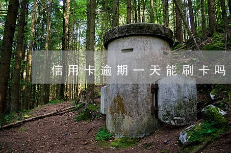 信用卡逾期一天能刷卡吗 信用卡逾期一天能刷卡吗