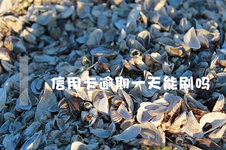 信用卡逾期一天能刷吗 信用卡逾期一天能刷吗