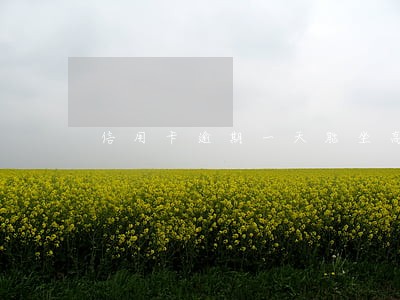 信用卡逾期一天能坐高铁吗 信用卡逾期一天能坐高铁吗