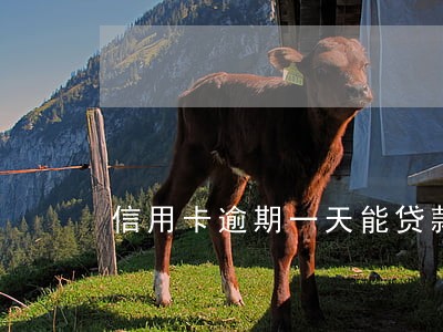 信用卡逾期一天能贷款吗 信用卡逾期一天能贷款吗