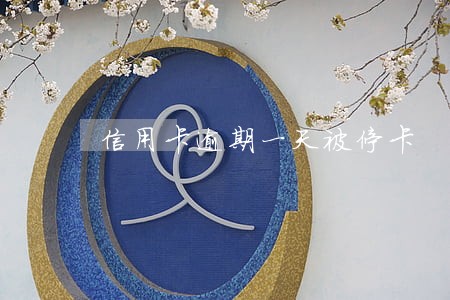信用卡逾期一天被停卡 信用卡逾期一天被停卡