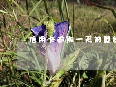 信用卡逾期一天被量额度 信用卡逾期一天被量额度