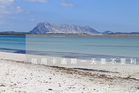 信用卡逾期一天要不要利息 信用卡逾期一天要不要利息