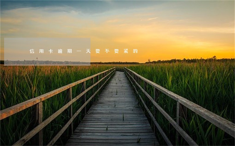 信用卡逾期一天要不要紧的 信用卡逾期一天要不要紧的