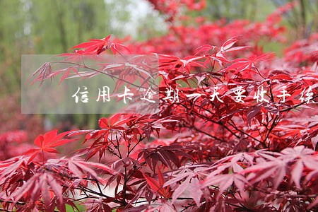 信用卡逾期一天要收手续费吗 信用卡逾期一天要收手续费吗