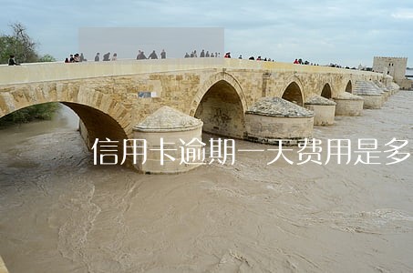 信用卡逾期一天费用是多少