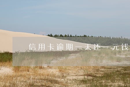 信用卡逾期一天还一元钱 信用卡逾期一天还一元钱