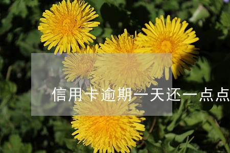 信用卡逾期一天还一点点