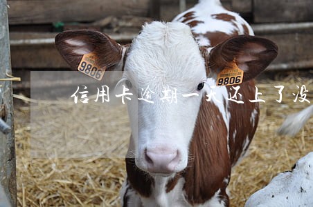 信用卡逾期一天还上了没有收利息 信用卡逾期一天还上了没有收利息