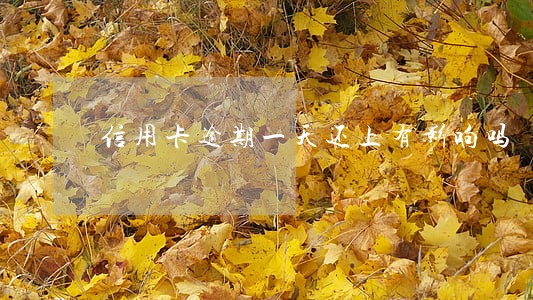 信用卡逾期一天还上有影响吗