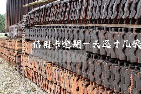 信用卡逾期一天还十几块钱 信用卡逾期一天还十几块钱