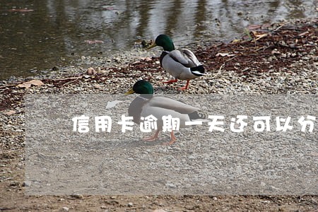 信用卡逾期一天还可以分期吗