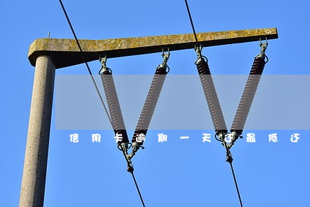 信用卡逾期一天还最低还款吗