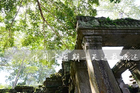 信用卡逾期一天还最低还款金额 信用卡逾期一天还最低还款金额