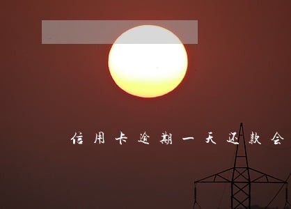 信用卡逾期一天还款会上征信吗 信用卡逾期一天还款会上征信吗