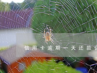 信用卡逾期一天还款会拉黑吗 信用卡逾期一天还款会拉黑吗