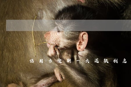 信用卡逾期一天还款利息